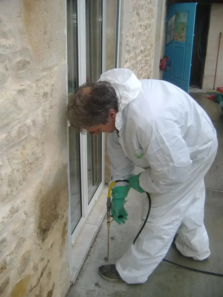 Traitement termite à Belin-Béliet