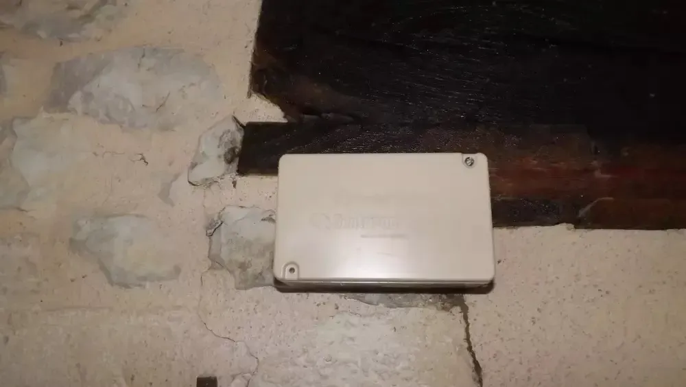 Traitement anti-termites à Belin-Béliet