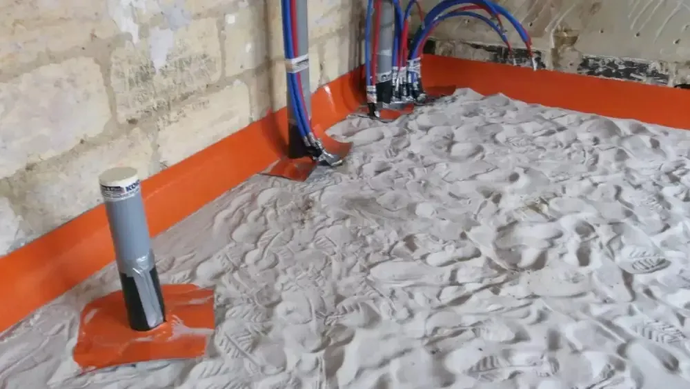 Problème de termites à Belin-Béliet