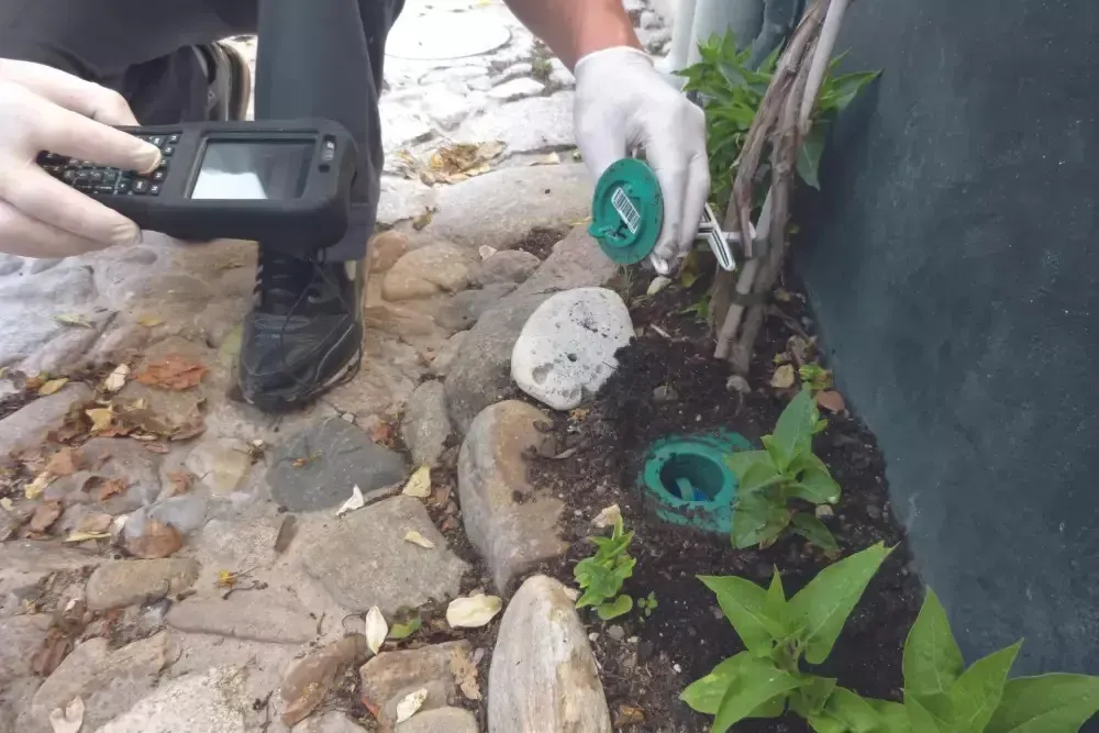 Barrière anti-termites à Belin-Béliet